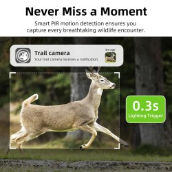 Caméra de Chasse 4G Solaire | Vision Nocturne et Détection Prix Maroc