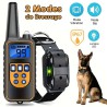 Collier de Dressage pour Chien - 2 Modes, Bip et Vibration au Maroc